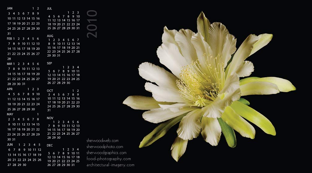 2010 calendar card