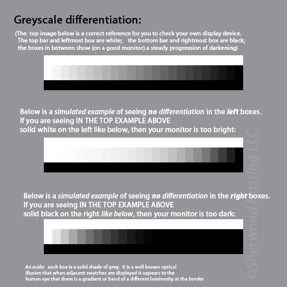 Greyscale monitor calibration via graduation differentiation